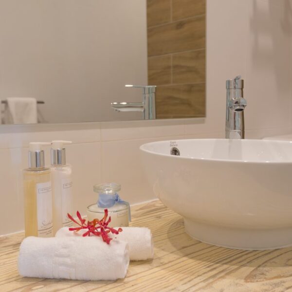 all-room-category-bathroom-pic-1024x684